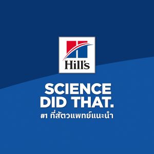 Hills Science Diet Perfect Digestion เสริมสวยมุม สูตรไก่ อาหารแมว สำหรับเด็ด 1-6 ปี ขนาด 1.5 กก