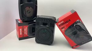 ZQS1430 Portable USB Bluetooth Radio KTV Speaker Super Bass Audio Home Party Karaoke With FM/TF/Mic