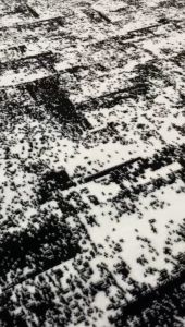 MARYLAND Karpet Lantai 210x300 Motif 05 Black White