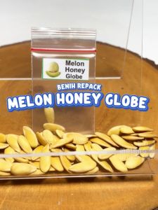 Benih Melon Honey Globe Repack Know You Seed bibit biji hidroponik hidroponik buah buahan