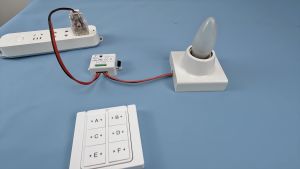 WenQia สวิตช์ไฟขนาดเล็กและสวิตช์ผนังแม่เหล็กไร้สาย RF 433MHz การควบคุมระยะไกลไฟฟ้า 220V-240V 10A ตัวรับสัญญาณรีเลย์สำหรับหลอดไฟ LED บ้าน