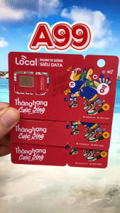 ( Tặng 1 Tháng Đầu Miễn Phí) Sim Local 4G Siêu Data Tốc Độ Cao Thoải Mái Truy Cập Mạng + Tặng Phút Gọi Nội Mạng Miễn Phí - Phí Gia Hạn Cực Rẻ | A69 A79 A89 A99 A119 - FREESHIP - CHƯA KÍCH HOẠT