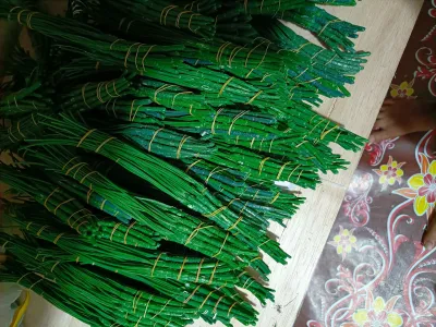 tangkai 5 cabang.jual per 1 lusin