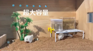 [SG In Stock] Button Quail Feeding and Drinking Set / Pet Feeder Box / Pet Water Dispenser