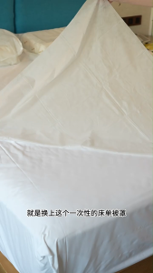 【✅SG stock】Bedsheet Set With Quilt Cover & Pillow Case For Travel Disposable Thickened Bedding