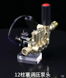 Pump Assembly for China Brand Pressure Washer Car Washing Machine Pump