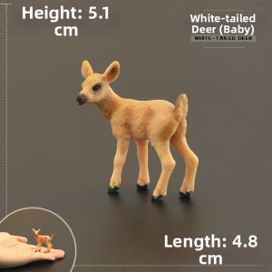 MENGSILE | Solid Realistic Wildlife Toy Models
