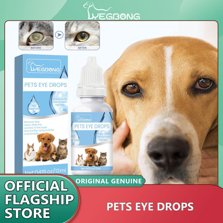 Ophthalmic Solution Antiseptic Eye Drops For Dogs Yegbong Pet Eye