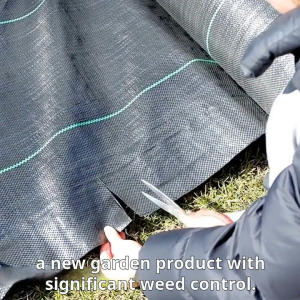 【JP AgroShield PH】Premium Weed Barrier Fabric UV Resistant Heavy Duty Ground Cover 1×100M