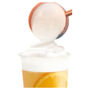 HuaXianNi Cream Cheese Milk Cover Powder Original Flavor with Sea Salt for Tea Shop Use No Need to Whisk Milk Foam