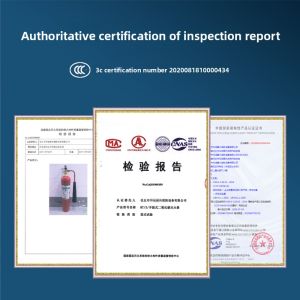 Portable CO2 Fire Extinguisher for Server Room And Distribution Box 2/3/5KG Carbon Dioxide Fire Suppression Equipment
