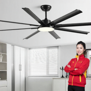 HUANGJIANG | Industrial Powerful Commercial Ceiling Fan Light