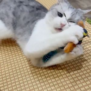 Ranktails ของเล่นแมว นกจำลอง นกสมจริงพร้อมเสียงและแคทนิป