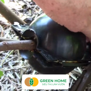 10 Bầu Chiết Cành GreenHome Dụng Cụ Làm Vườn Ra Rễ Cao  Chống Úng Cành Chiết Độ Bền 2 Năm