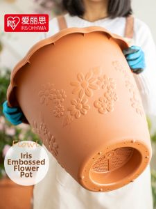 I.R.I.S | Iris-like Ceramic Finish Embossed Round Flower Pot