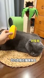 3 In 1 แปรงไอน้ํา แปรงไอน้ำแมว ซิลิโคนนุ่ม ดูดซับเส้นผมโดยไม่ทำร้ายผิว ขนแปรงนุ่มและอ่อนโยนต่อผิวสัตว์เลี้ยงของคุณ