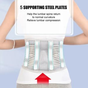 DIDI Lumbar Back Support Belts 5 Steel Plate Support Waist Back Support Belts Brace Support Pain Relief