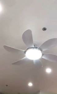 Quạt trần đèn trang trí cánh congđiều khiển cầm tay từ xa 6 chế độ mát có đảo chiều hút ẩm mùa đông