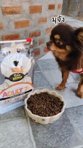 Zeno อาหารสุนัขสูตรสูงวัย อายุ 7ปี+ รสปลาแซลมอน ปริมาณ 3kg