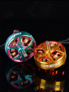 Indoor Racing Brushless Motor 2s