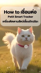 PET X : PetX Smart Tracker เครื่องติดตามสัตว์เลี้ยงอัจฉริยะ