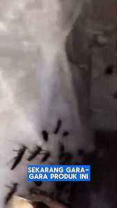 Olrait Home Care Spray Pembasmi Kecoa Paling Ampuh Semprotan Anti Kecoa dan Mengusir Kecoa Aman 100%