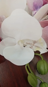 Bunga Satuan Artificial Anggrek x1