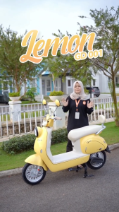 Sepeda Listrik GODA 001 LEMON 600 Watt Electric E Bike