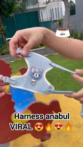 Unboxing Belanjaan: Rompi Anjing & Harness Kucing