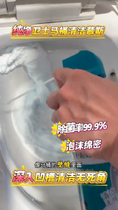 Toilet Cleaning Foam 5 Seconds Fast Action 马桶清洁慕斯 泡沫去污 除菌99.9% 柠檬香