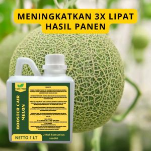 Pupuk Semprot Pelebat Buah MELON Pupuk Pelebat Buah MELON Pupuk Penyubur Buah MELON ZPT