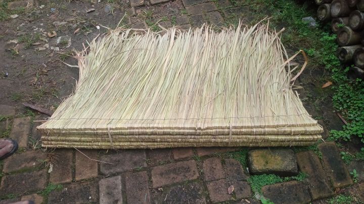 Material Rumbia Atap Alang-alang daun Rumbia minimal order 10 lembar | Lazada Indonesia
