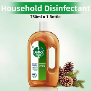 Dettol | Antibacterial Portable Disinfectant Liquid 250ml