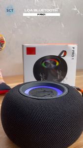 Loa Nghe Nhạc Cầm Tay P PRO 1 - Loa Không Dây Kết Nối Bluetooth Nhỏ Gọi Tiện Lợi  Âm Thanh Tuyệt Vời  Kết Nối Đa Thiết Bị  Đèn Led Theo Nhạc