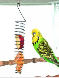 Stainless Steel Parrot Feeding Bowl Bird Fruit Vegetable Hanging Basket Splash Proof Feeder Pet Supplies Parrot Equipment