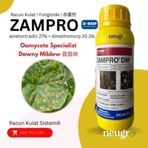 BASF Zampro® DM 500ML Racun Kulat Penyakit Downy Mildew Busuk Buah Durian Terung Fungicide (Ametroctradin 27% + Dimethomorp 20.3%) 杀菌剂 卵菌病 露菌病 晚疫病榴莲茄子