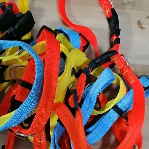 Bộ dây dắt Chó Mèo kèm vòng cổ khoá nhựa bằng chất liệu vải nylon - Love Pets Shop