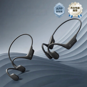 Sanag | Bone Conduction Waterproof Bluetooth Headphones