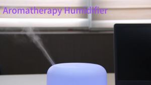 500ml Essential Oil Diffuser Quiet Aromatherapy Mist Diffusers Ultrasonic Remote Control Air Humidifier with Timing Function