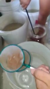 Saringan Serokan Cangkang Artemia Kutu Air Kutir Halus Kecil Ikan 1Set