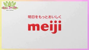 Socola Hạnh Nhân MEIJI Almond Chocolate Hộp 79gr Nhập Khẩu Từ Nhật - Emmytran Shop