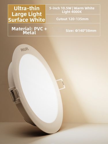 Elegant Flush Mount Ceiling Lights for Low-Ceiling Condos in the Philippines