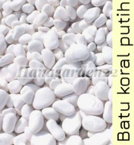 BATU KORAL PUTIH 1KG Cocok Untuk Hiasan Tanaman Pot Dan Taman