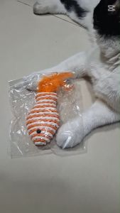 Đồ Chơi Cá Dây Thừng Lông Vũ Đồ Chơi Tương Tác Giúp Mèo Giảm Stress Đồ Chơi Cho Mèo - Nuôi Pet Shop