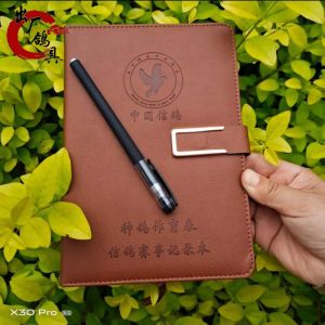 Pigeon Breeding Supplies & Racing Pigeon Records Book: A Comprehensive Guide