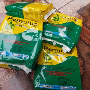 Fungisda Pemulus 80wg 1kg