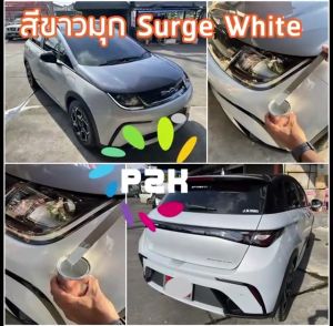 สีแต้มรถ BYD DOLPHIN บีวายดี ดอลฟิน สีแต้มรถยนต์ ยี่ห้อ P2K มีทุกรุ่น ทุกสี สี Byd - Lazada
