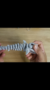 Đồ Chơi Bộ Xương Cá Mập 3D – Khớp Uốn Dẻo Đồ Chơi Giải Stress Articulated Shark Skeleton