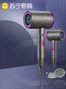 High-Speed Hair Dryer Professional Salon Powerful Negative Ion Protection Home Use Early Fish Electric Blow Dryer 2974