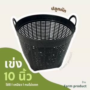 เข่งปลูกผัก 10 นิ้ว เข่งจิ๋ว ตะกร้าพลาสติกขนาดเล็ก แข็งแรง ทนแดด ใช้ดี ราคาประหยัด ส่งไว!